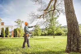 How Our Tree Care Process Works  in  Chesterfield, IN