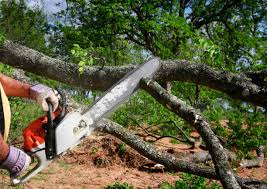 Best Utility Line Clearance  in Chesterfield, IN